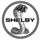 Shelby